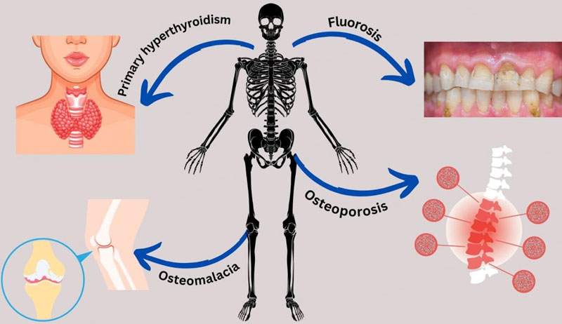 service single image